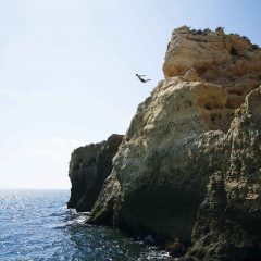 JUMPING FOR JOY