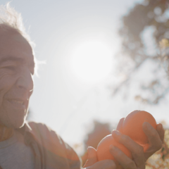 Short Film About Organic Oranges Wins Impact DOCS Award