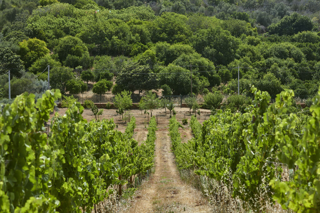 Quinta dos Sentidos