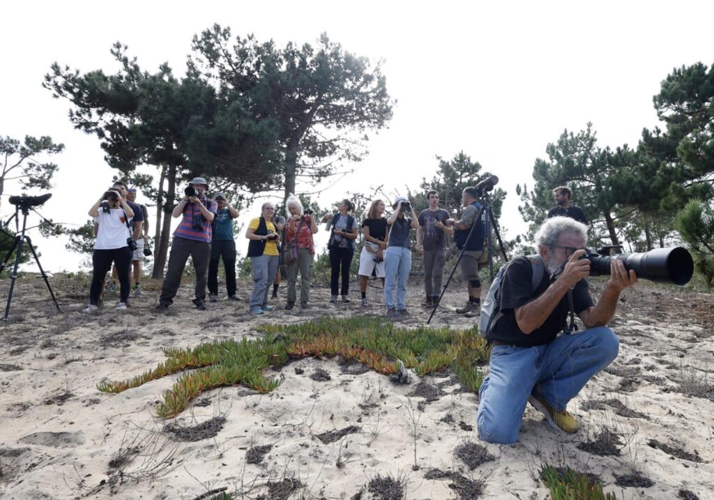 15th Bird Watching & Nature Activities Festival, Sagres