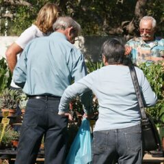 It’s almost time for the Autumn Mediterranean Garden Fair!