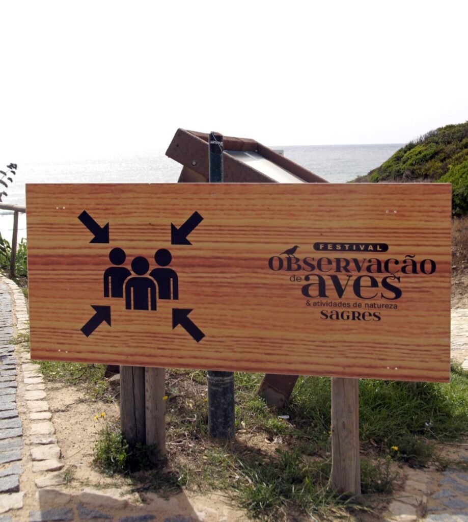 Sagres Birdwatching Festival 3