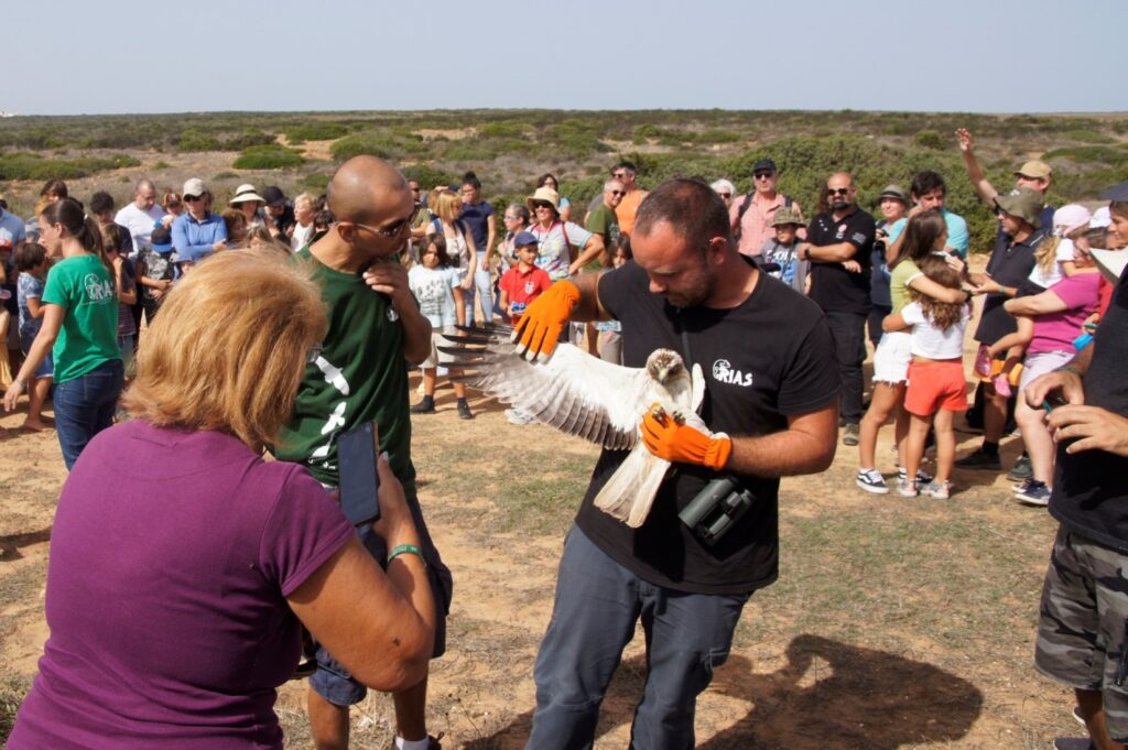 Sagres Birdwatching Festival - Returning birds to nature