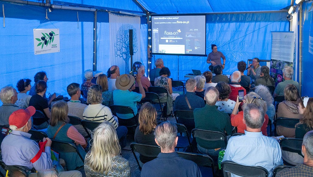 One of the free talks at the Autumn Mediterranean Garden Fair