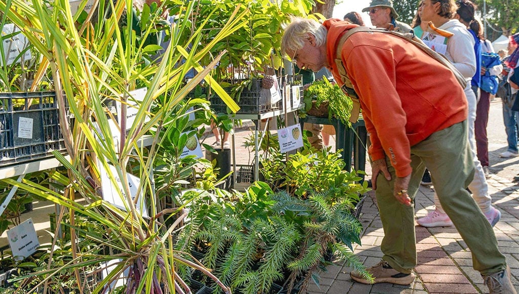 Plethora of trees and plants to choose from