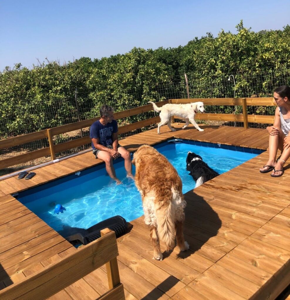 pet daycare Bockland, Lagoa, Algarve 