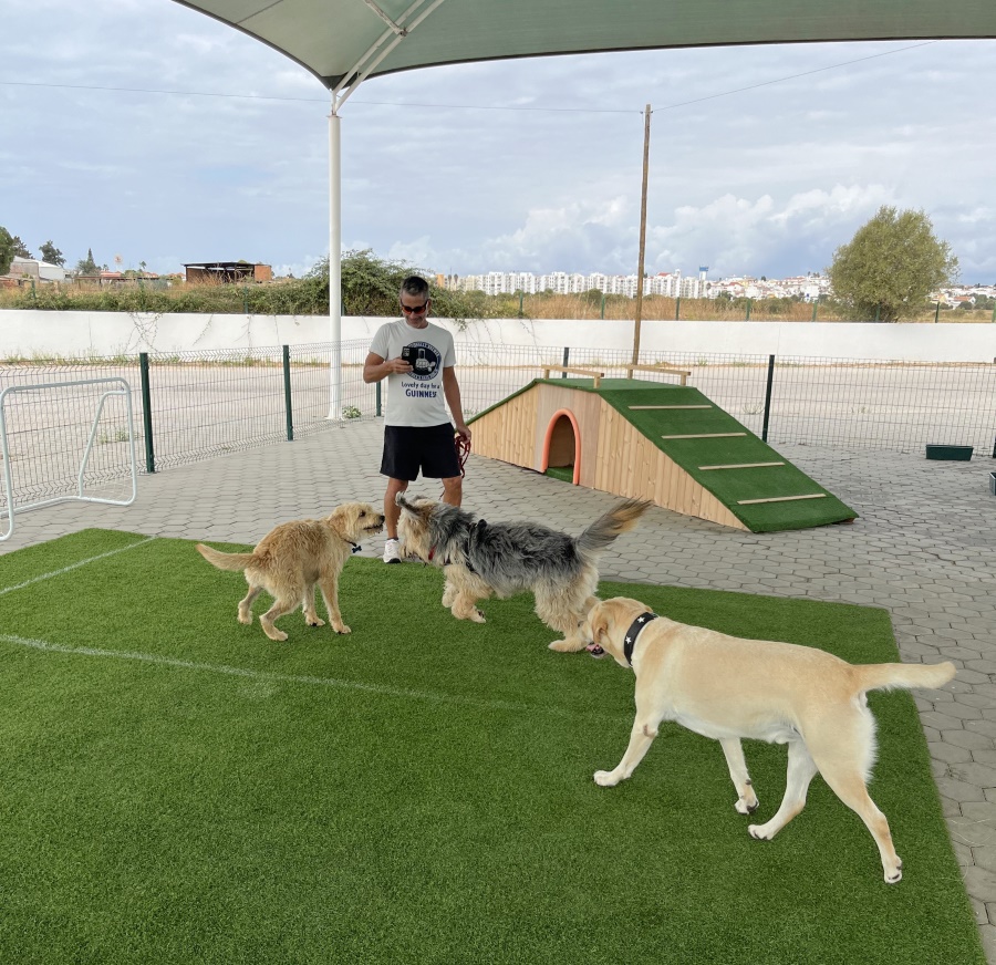 pet daycare Bockland, Lagoa, Algarve