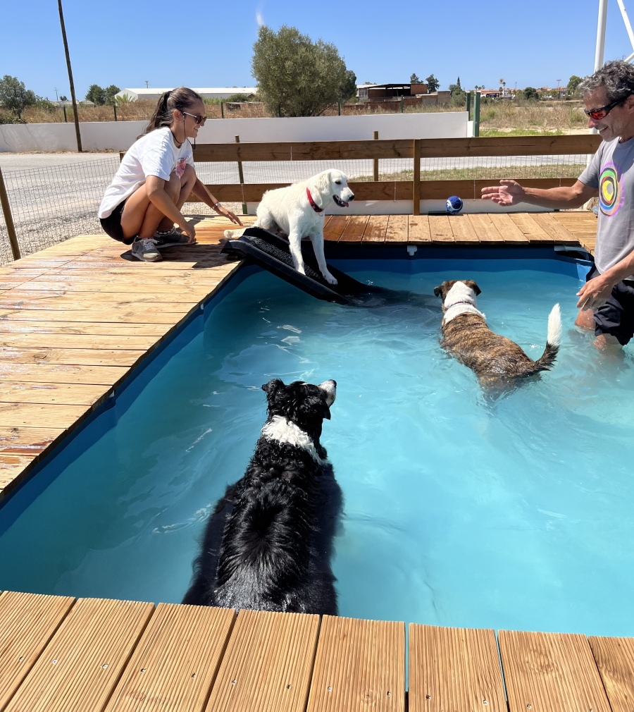 pet daycare Bockland, Lagoa, Algarve