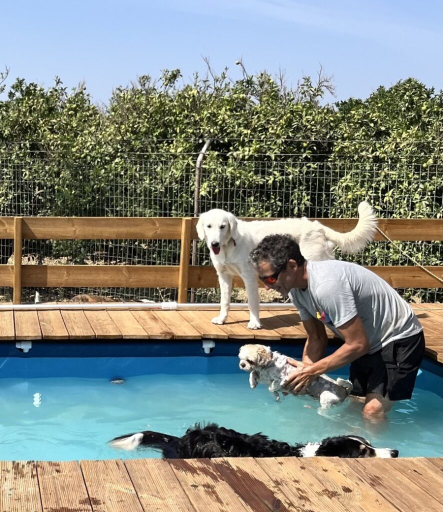 pet daycare Bockland, Lagoa, Algarve