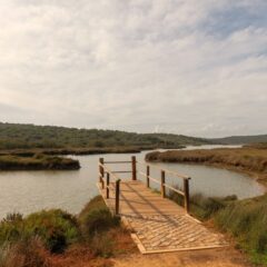 A tourist at home: Exploring the Algarve’s natural wonders and hidden corners