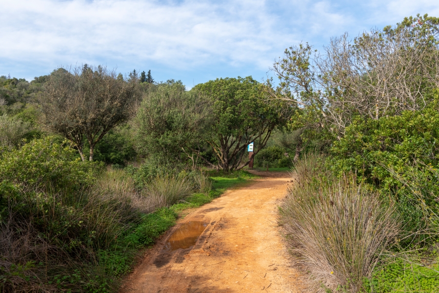 Fontes de Estômbar Park